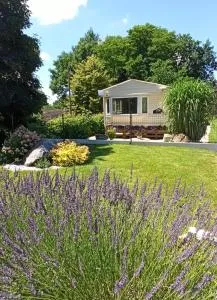 Ubytování Levandule - Mladá Vožice