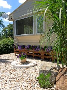 Ubytování Levandule