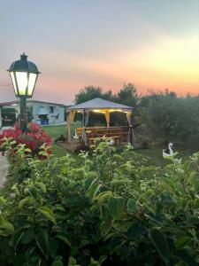 Caryatis Ntoridis Studios & Apartments in Afitos