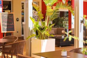 Hotel Paradise Residencial