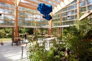 La Belle Folie - 普罗梅尔