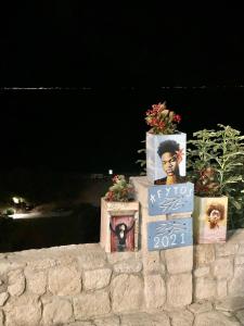 Caryatis Ntoridis Studios & Apartments in Afitos