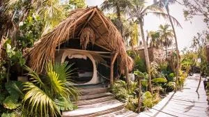 Uman Glamping & Cenote Tulum - Punta Allen