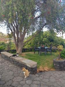 Corral de Payo Grande