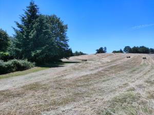 Maisons de vacances Chambres dans le gite 