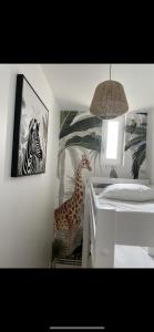 Appartements Villa saint Louis 4 : photos des chambres