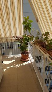 Appartamento con 3 Camere da Letto