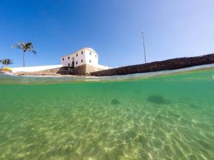 Flat Luxo Bem Localizado No Bairro Da Barra Salvador