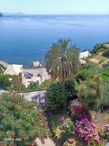 Holiday stay by Federica