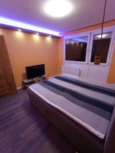 Pécsi Kecó - Home over the city