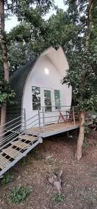 Bungalovi Api-centar - Šarani