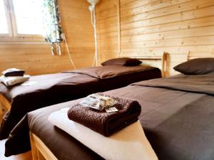 Viesu nams “Bauļi”