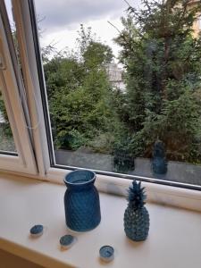 Mieszkanie z widokiem na Park -Cieplice Śląskie Zdrój