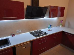 Mieszkanie z widokiem na Park -Cieplice Śląskie Zdrój