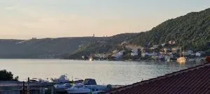 MAESTRAL-NMF - Palit