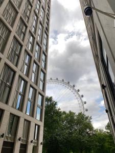 One Bedroom Apartment in London Eye