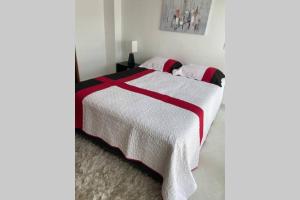 Espectacular apartamento en pozos colorados