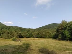 Podklanci-house in the forest 