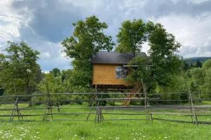 Casuta Veveritelor - Casuta in Copac - Izvoru Dragoş