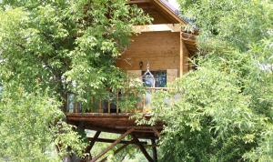 Casuta Veveritelor - Casuta in Copac