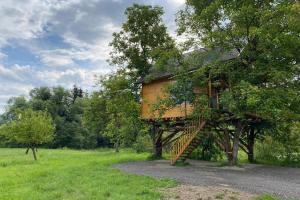 Casuta Veveritelor - Casuta in Copac