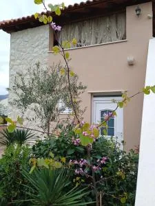 Apartments Karoma - Petrača