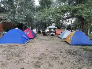 EXIT Camping with bungalow, mobile home, tents, and empty spots with private acces to the beach - Vrdnik