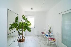 Nonas Paradise Apartment - Free parking