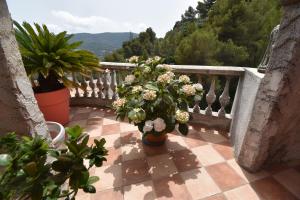 Studio climatisé et sa terrasse privée en villa