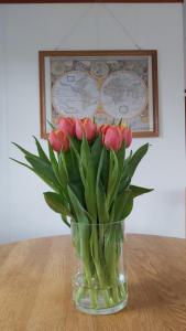 Cosy Garden familie chalet tot 4 personen op de Veluwe Bungalowpark De Kern