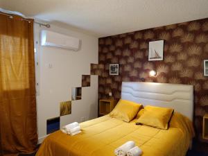 Hotels Astrotel Romorantin-Lanthenay : Chambre Double avec Salle de Bains Privative - Non remboursable