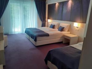 Pensiunea Constantin