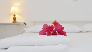 Welcomely - Villa Oleandro img11