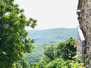 Maisons de vacances Maison D’Artiste, 5 mins from St Antonin Noble Val : Maison 2 Chambres