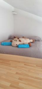 Sejours chez l'habitant Joshroom : photos des chambres