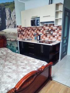 1-комнатная квартира-студия Люкс Элитный дом-2016 Центр