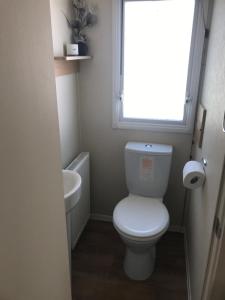 Deluxe 3 bedroomed caravan on Marton Mere with CH DG and decking