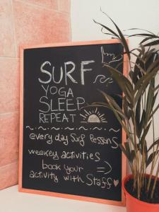 International Surf Camp ONLY SURF