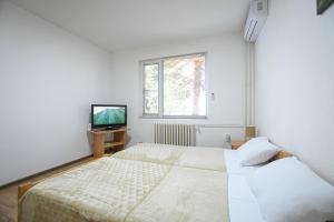 Apartman 59