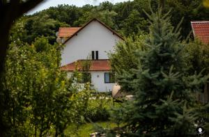 VilaFrancisca10