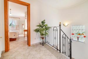 Estrella de mar azul