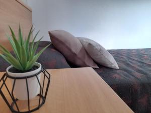 APARTAMENTO NURIA GONZÁLEZ GRANDA