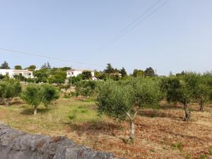 Villa Ottocento Molillo