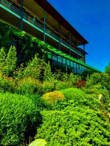 Savaneti Eco Hotel