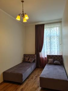 Old Town Cat Apartment