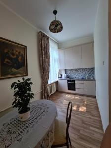 Old Town Cat Apartment