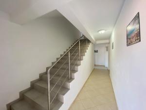 Apartament Alfa Saturn