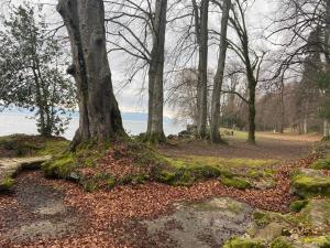 Appartements BORD DE LAC,2 chambres SUPERBE VUE LAC 5mn Evian : photos des chambres