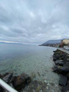 Appartements BORD DE LAC,2 chambres SUPERBE VUE LAC 5mn Evian : photos des chambres
