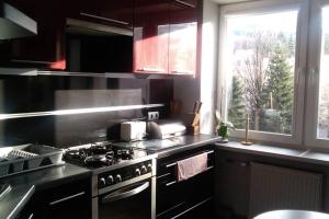 Apartament rodzinny 2 pokojowy. Widok na Snieżke.